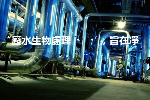 “廢水生物處理，旨在凈化水源，守護(hù)碧水藍(lán)天”